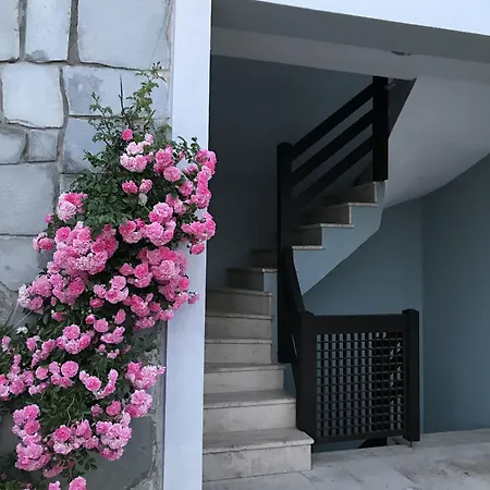 Siesta Hotel Tenedos