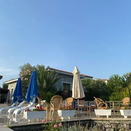 Siesta *
