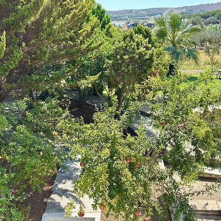 Siesta Otel