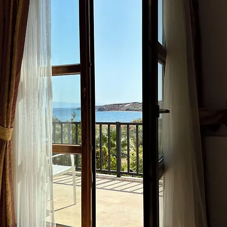 Siesta *