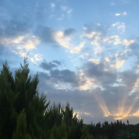 Siesta Hotel Bozcaada