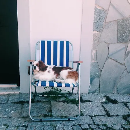 Siesta * Bozcaada